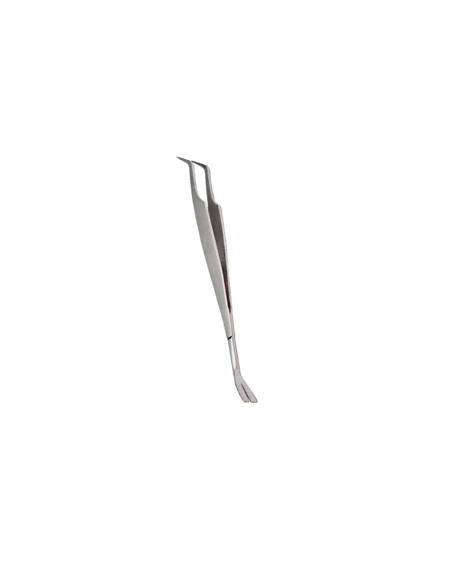 Tick remover / tweezers